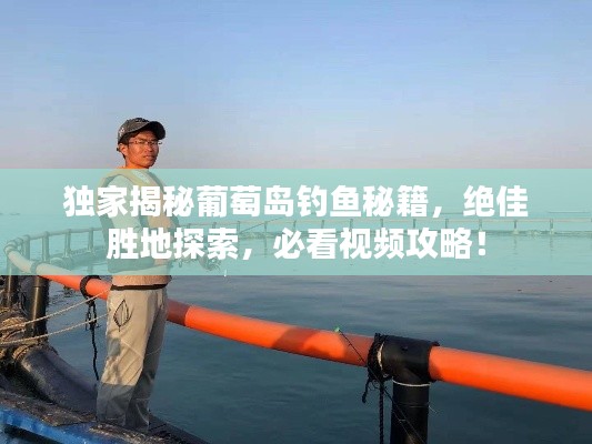 独家揭秘葡萄岛钓鱼秘籍，绝佳胜地探索，必看视频攻略！