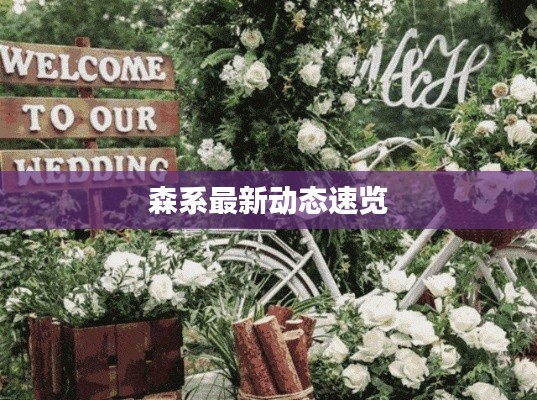 森系最新动态速览