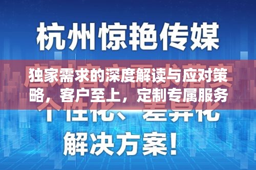 独家需求的深度解读与应对策略，客户至上，定制专属服务之道