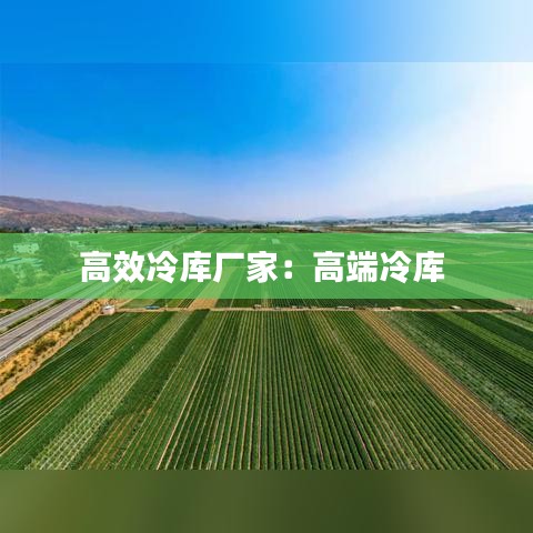 高效冷库厂家：高端冷库 