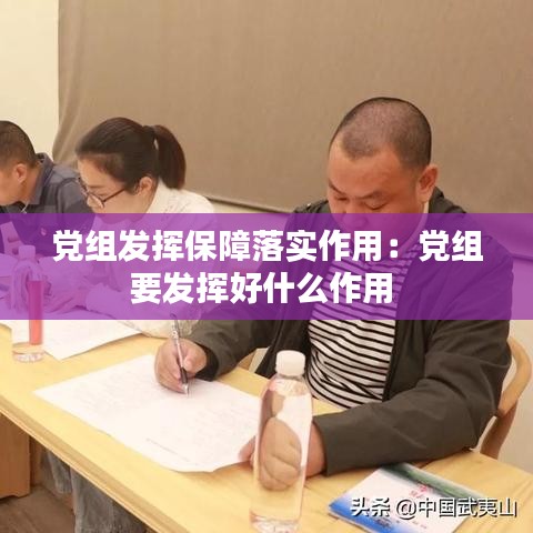 党组发挥保障落实作用：党组要发挥好什么作用 