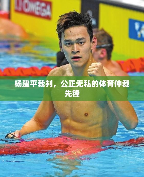 杨建平裁判，公正无私的体育仲裁先锋