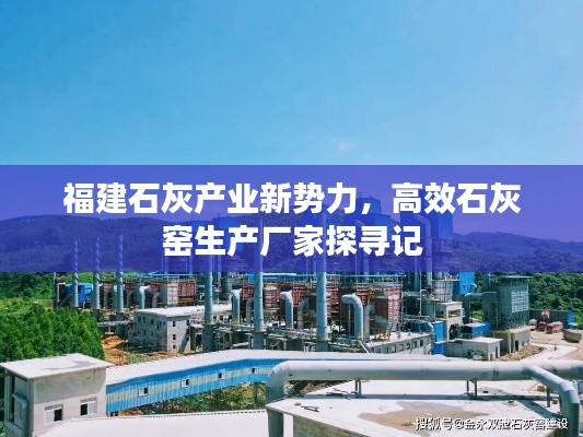 福建石灰产业新势力，高效石灰窑生产厂家探寻记