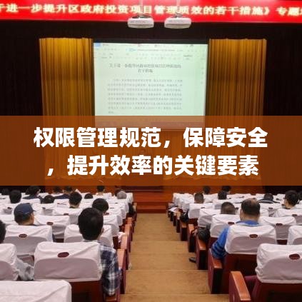 权限管理规范，保障安全，提升效率的关键要素