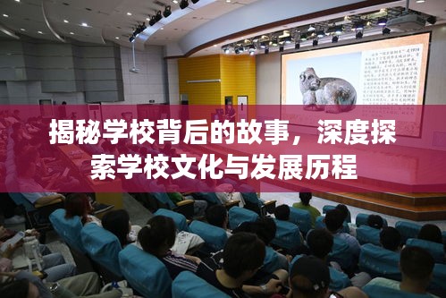 揭秘学校背后的故事，深度探索学校文化与发展历程