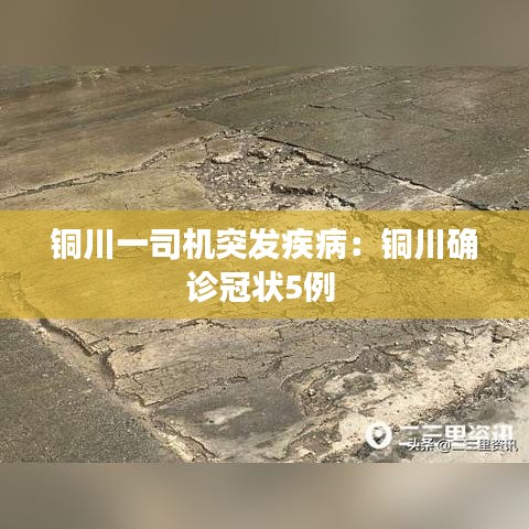 铜川一司机突发疾病：铜川确诊冠状5例 