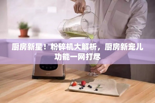 厨房新星！粉碎机大解析，厨房新宠儿功能一网打尽