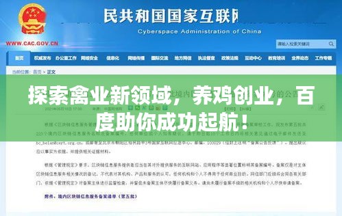 探索禽业新领域，养鸡创业，百度助你成功起航！