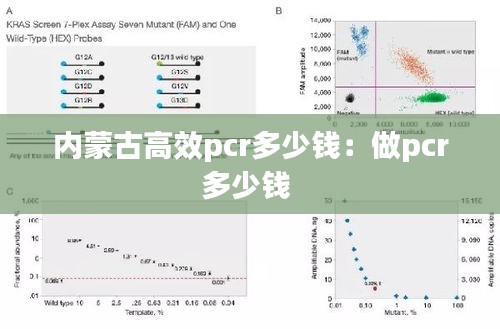 内蒙古高效pcr多少钱：做pcr多少钱 