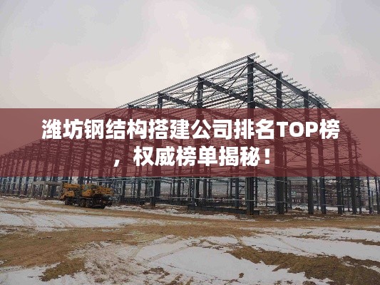 潍坊钢结构搭建公司排名TOP榜，权威榜单揭秘！