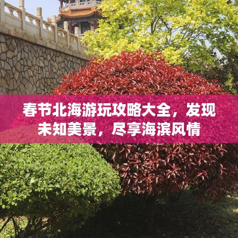 春节北海游玩攻略大全，发现未知美景，尽享海滨风情