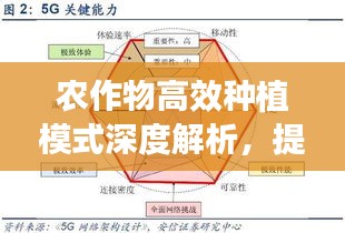 农作物高效种植模式深度解析，提升效益的关键策略