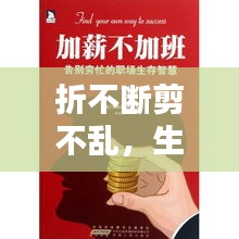 折不断剪不乱，生活智慧与艺术的完美融合