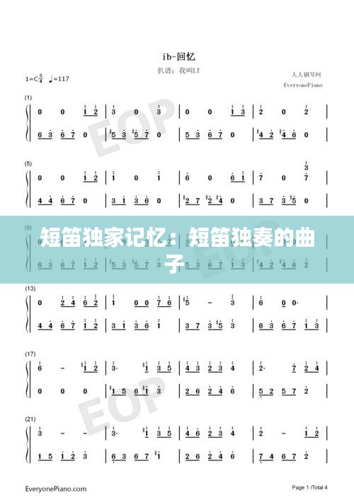 短笛独家记忆：短笛独奏的曲子 