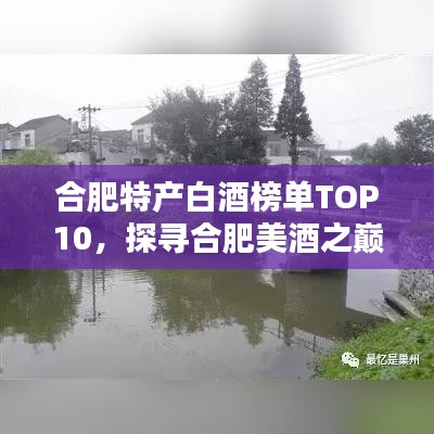 合肥特产白酒榜单TOP10，探寻合肥美酒之巅