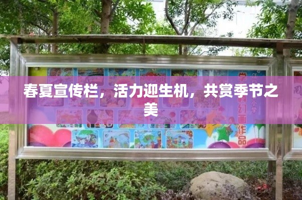 春夏宣传栏，活力迎生机，共赏季节之美