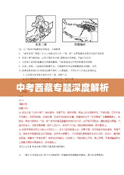 中考西藏专题深度解析