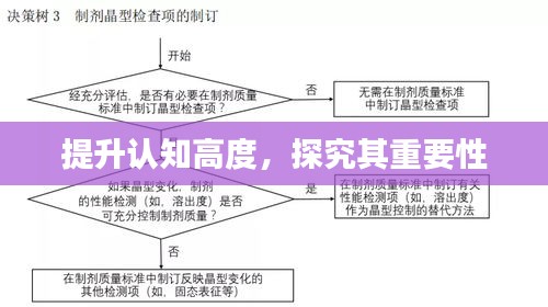 提升认知高度，探究其重要性