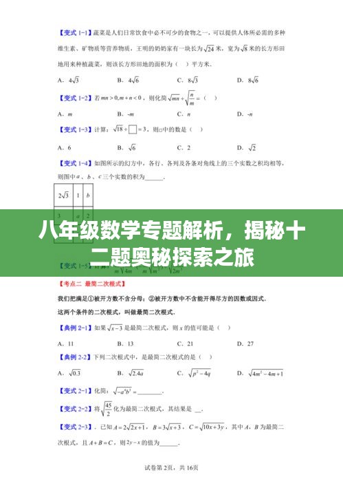 八年级数学专题解析，揭秘十二题奥秘探索之旅