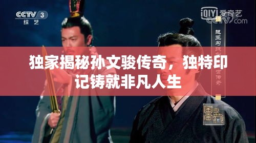 独家揭秘孙文骏传奇，独特印记铸就非凡人生