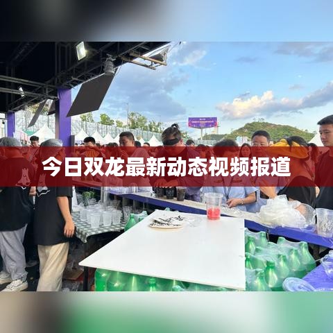 今日双龙最新动态视频报道