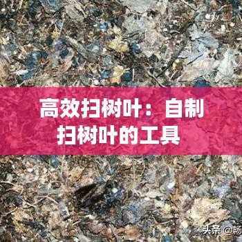 高效扫树叶：自制扫树叶的工具 