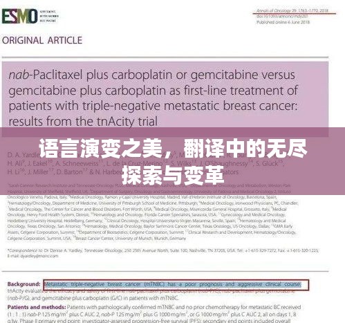 语言演变之美，翻译中的无尽探索与变革