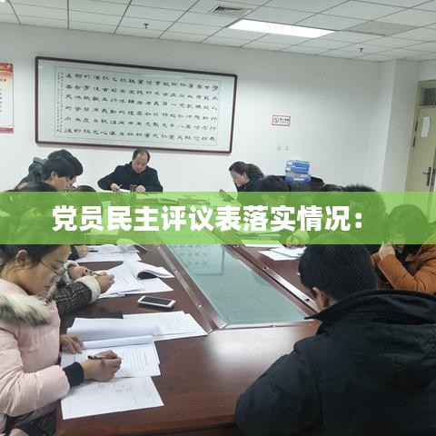 党员民主评议表落实情况： 