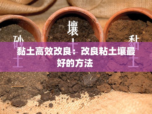 黏土高效改良：改良粘土壤最好的方法 