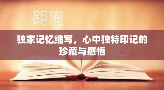 独家记忆缩写，心中独特印记的珍藏与感悟