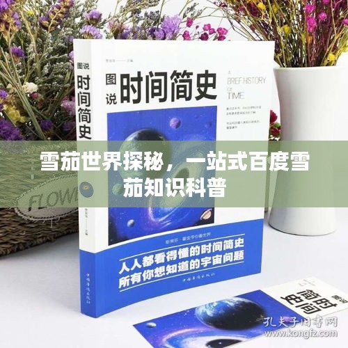 雪茄世界探秘，一站式百度雪茄知识科普