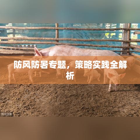 防风防暑专题，策略实践全解析