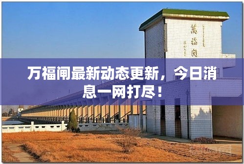 万福闸最新动态更新，今日消息一网打尽！
