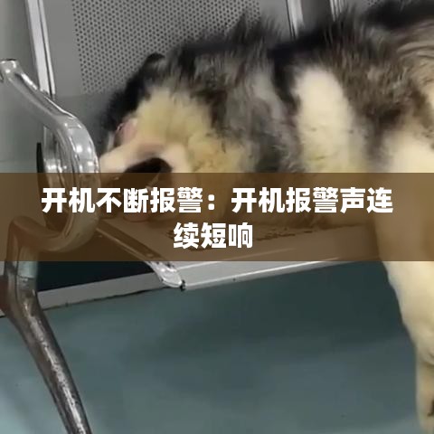开机不断报警：开机报警声连续短响 
