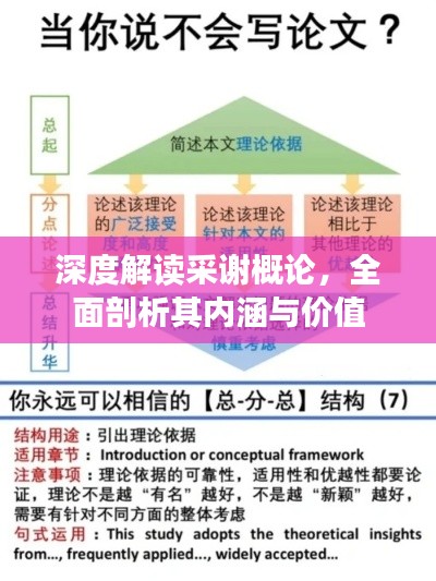 深度解读采谢概论，全面剖析其内涵与价值