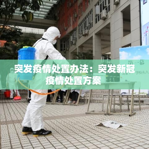 突发疫情处置办法：突发新冠疫情处置方案 