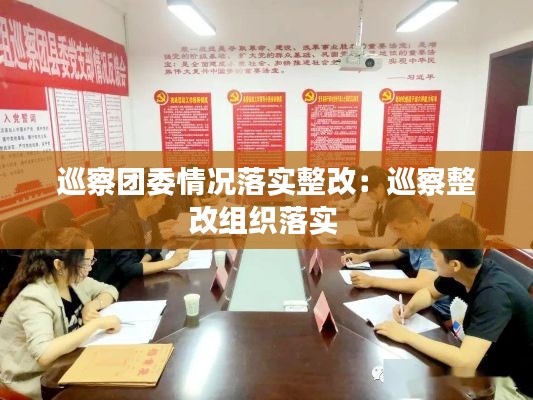 巡察团委情况落实整改：巡察整改组织落实 