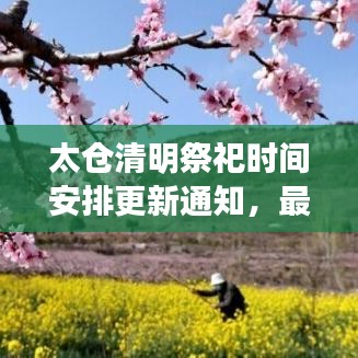 太仓清明祭祀时间安排更新通知，最新动态一网打尽