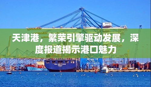 天津港，繁荣引擎驱动发展，深度报道揭示港口魅力