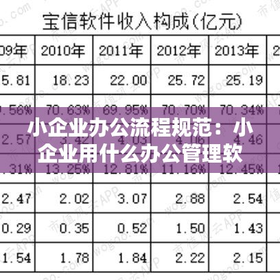 小企业办公流程规范：小企业用什么办公管理软件 