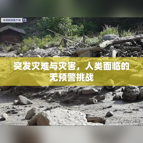 栖鸟于泉 第2页