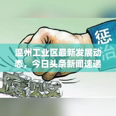 温州工业区最新发展动态，今日头条新闻速递