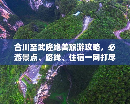 富贵逼人来 第2页