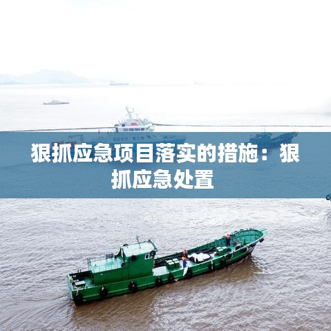 狠抓应急项目落实的措施：狠抓应急处置 