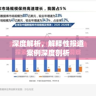 深度解析，解释性报道案例深度剖析