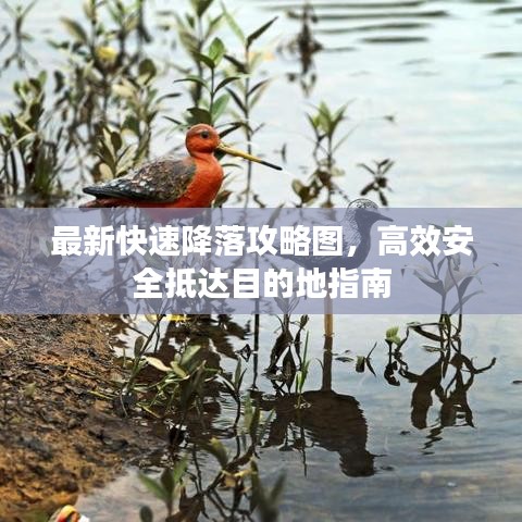虫言鸟迹 第2页