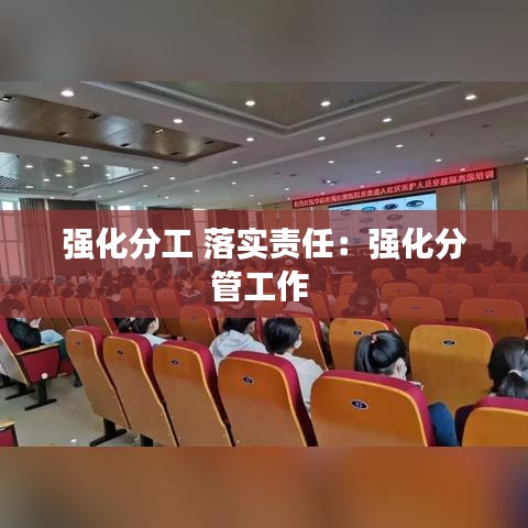 强化分工 落实责任：强化分管工作 