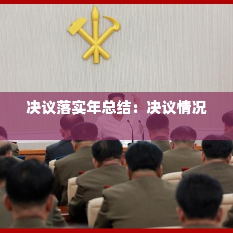 决议落实年总结：决议情况 
