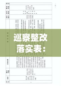 巡察整改落实表：巡察整改落实进度表 