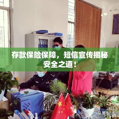 存款保险保障，短信宣传揭秘安全之道！